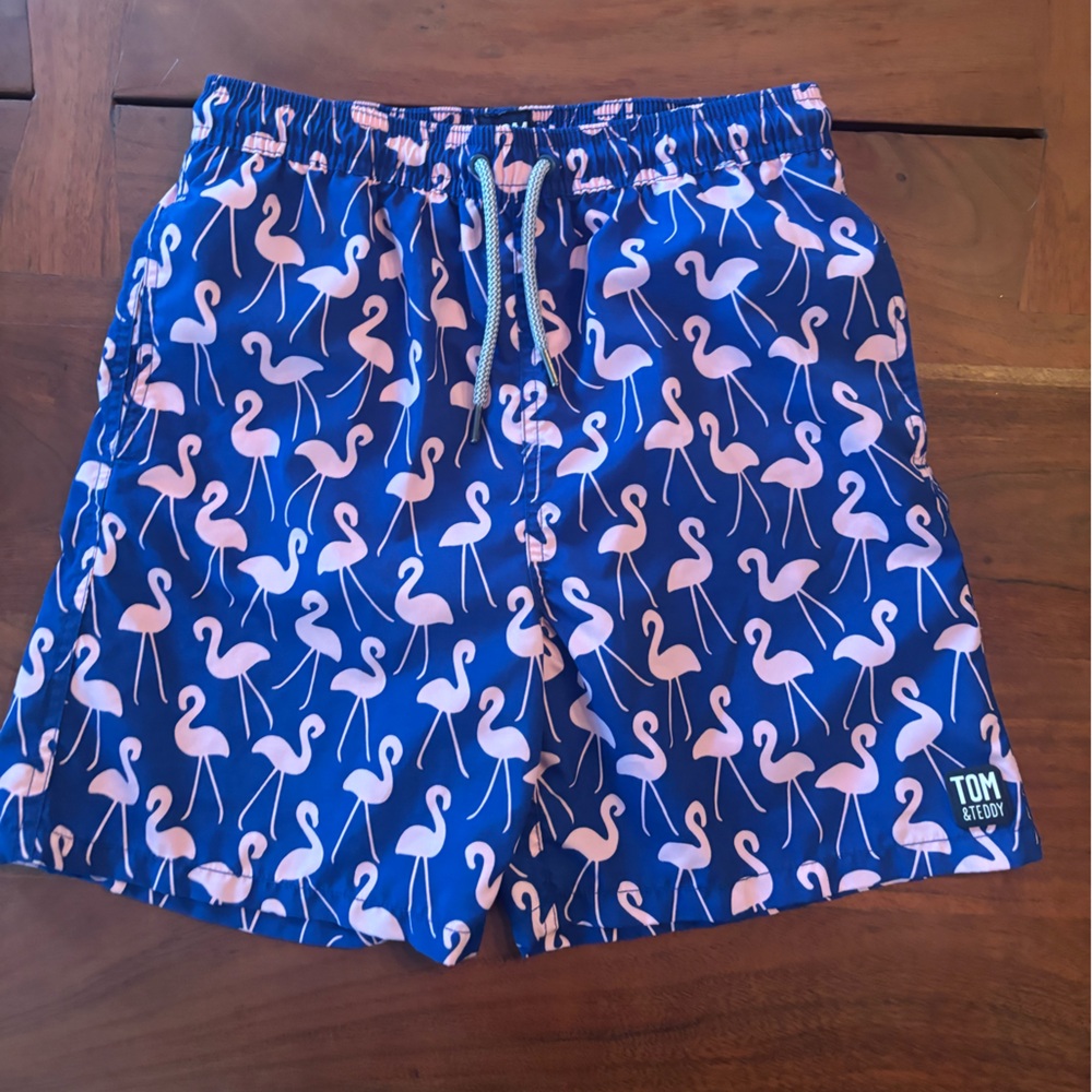 Tom & Teddy Kids Swim Trunks - Blue and Pink Flamingo Print